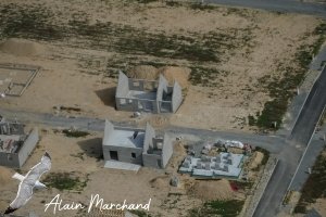 P1550541 2022 09 05 Allée Des Spatules